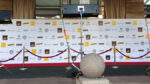 Backdrop – Image 4